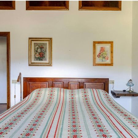 Divinae Cintoia Villa Greve in Chianti Buitenkant foto